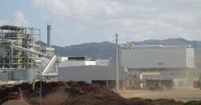 “A biomassa que vemos passar para a central são rolos inteiros”, afirmou deputada municipal do Bloco de Esquerda no Fundão, Cristina Guedes, confrontando o Executivo Municipal