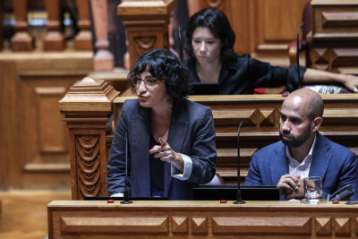 Isabel Pires no plenário da Assembleia República.