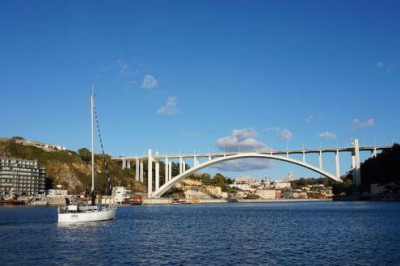 Bloco: Câmara do Porto e APDL devem “matar de vez” obra embargada na Arrábida