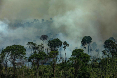 Queimadas na Amazónia