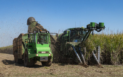 Máquina a fazer colheita na cana de açúcar. Austrália, 2020. Foto de  Steven Penton.