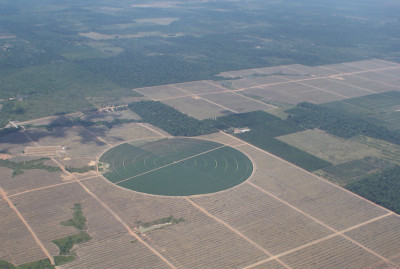 Desmatamento causado por uma exploração de palma no Brasil. Foto de  USAID Biodiversity & Forestry/Flickr.