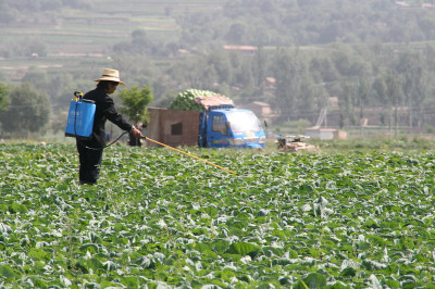 Agricultora a lançar pesticidas. Foto de IFPRI/Flickr.