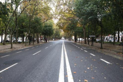 Os valores de dióxido de azoto foram cumpridos em 2020 devido às medidas de combate à pandemia, tal não deverá acontecer em 2021. Avenida da Liberdade, 14 de novembro de 2020 – Foto de António Pedro Santos/Lusa 