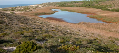 Laguna Sancha, Reserva Natural das Lagoas de Santo André e da Sancha – foto zero.ong