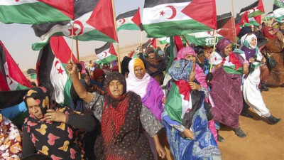 As mulheres saharauis deparam-se com o poder dos colonizadores, que oprimem seu modo de vida, obrigando-as a encontrar novas formas de resistência