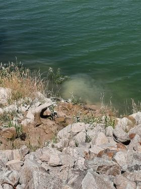 Gerês: Bloco denuncia descargas na albufeira de Salamonde
