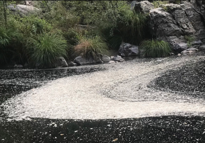 Poluição no rio Paiva. Foto da SOS Rio Paiva.