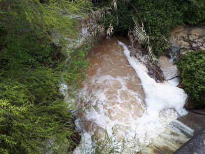 Pedro Soares defende que haja um processo de descontaminação nos solos. Considera-o urgente no âmbito de um “problema ambiental muito complexo”, agravado “pelos efeitos do incêndio do Pinhal de Leiria”.
