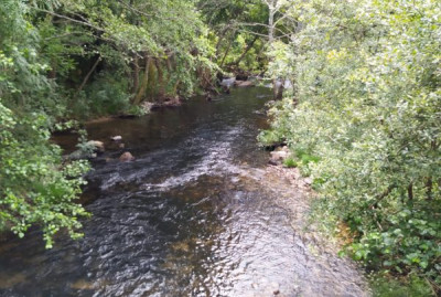 Rio Corgo. Foto do Interior do Avesso.