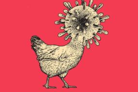 Desenho da capa de "Llega el Monstruo"