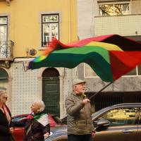  Fotogaleria do Cordão Humano pela Palestina