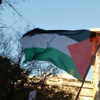  Fotogaleria do Cordão Humano pela Palestina