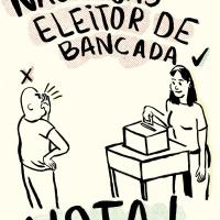  O apelo ao voto em 70 ilustrações