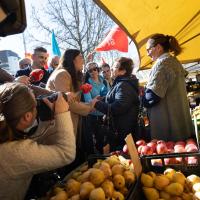  Fotogaleria: visita à feira de Famalicão