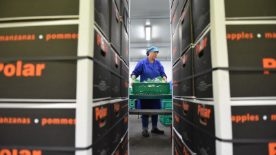 Trabalhadora de uma cooperativa da Moimenta da Beira.
