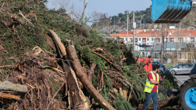 Voluntários removem detritos provocados pela passagem da depressãoKristin em Leiria.