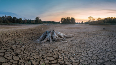 terra seca