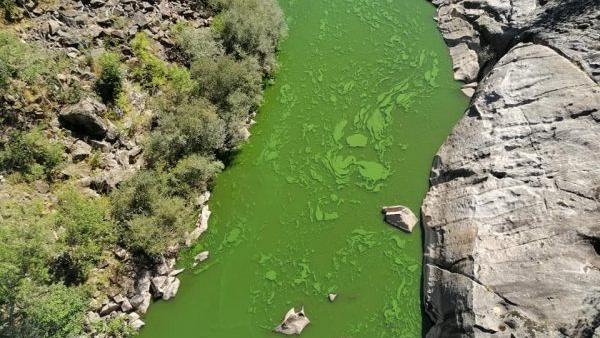 Rio Tua. Fotos da página de Facebook Abreiro Trás-os-Montes.