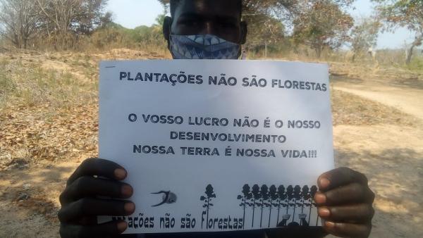 Cartaz contra as plantações. Foto de Justiça Ambiental/Facebook.