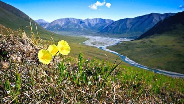 Arctic National Wildlife Refuge wilderness. Foto de Dusty Vaughn/Flickr.