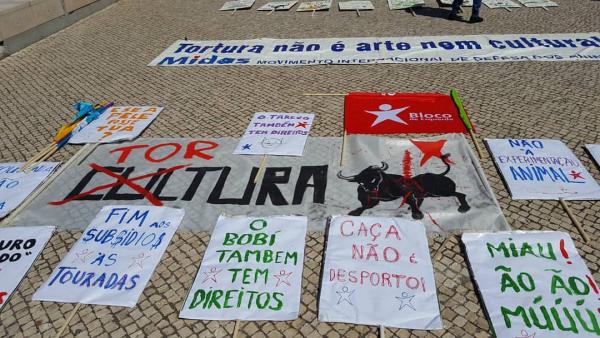 Cartazes do Bloco na marcha animal.