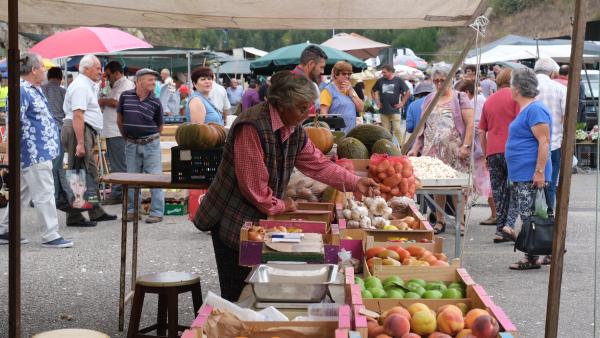 Feira da Malveira 