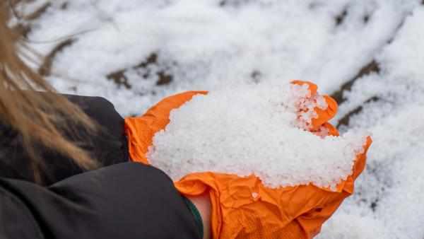 Foto dos pellets encontrados numa praia galega. Foto da Noia Limpa.