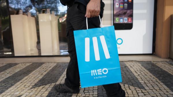 Meo. Foto de Paulete Matos.