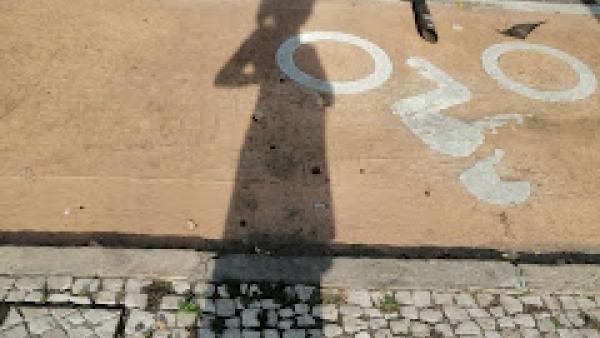 Não era a voz que falava mas a mudez