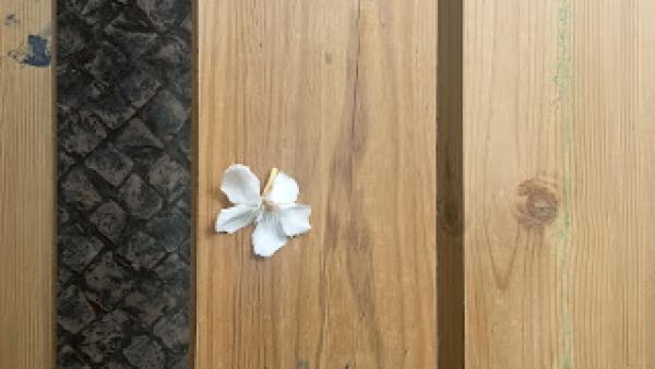 O Imenso Comércio do Nada XXI