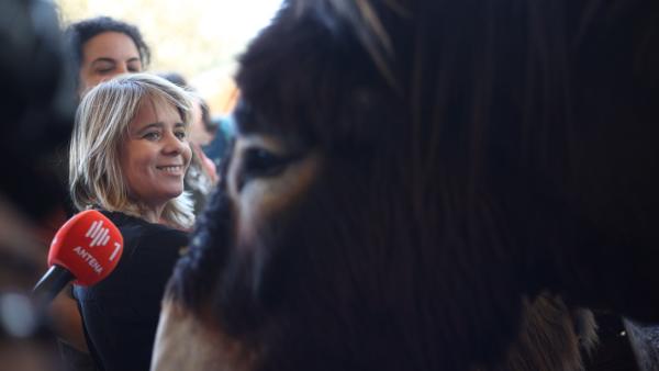 Catarina Martins em visita à associação que preserva os burros de Miranda