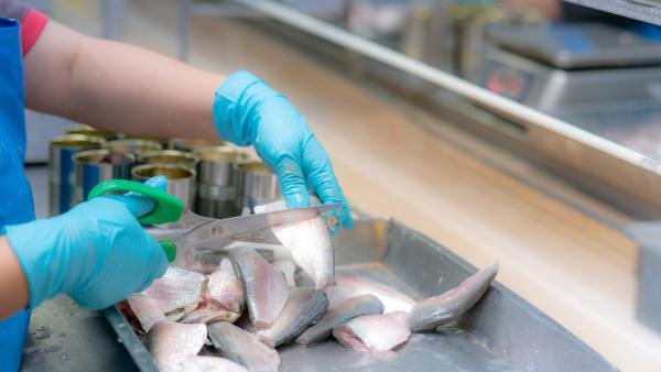 Trabalhadores das Conservas