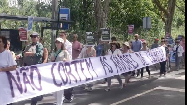 Protesto percorreu a estrada entre Colares e a Praia das Maçãs