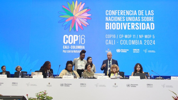 COP 16 da Biodiversidade