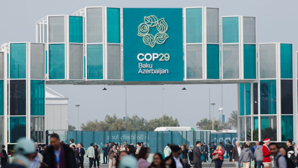 COP29