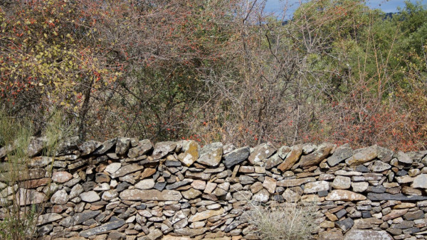 muro de pedras