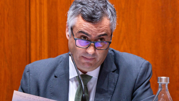 Fernando Alexandre