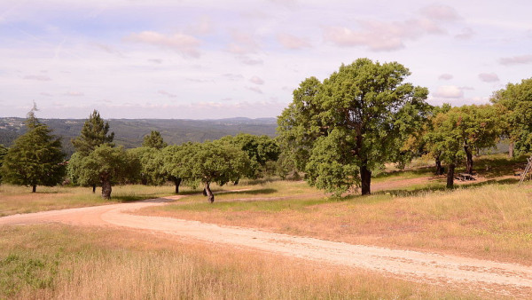 Sobreiros