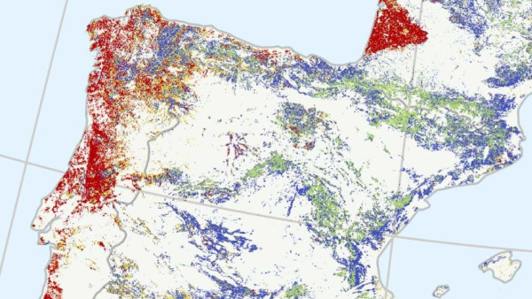 Mapa com áreas de silvicultura muito intensiva assinaladas a vermelho.
