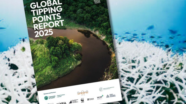 capa do relatório sobre corais branqueados