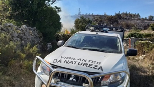 Vigilantes da Natureza.