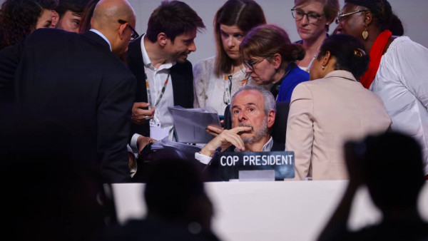 Presidente da COP rodeado de delegados