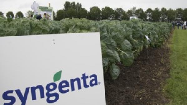 Syngenta. Foto de Fruitnet.com/Flickr.