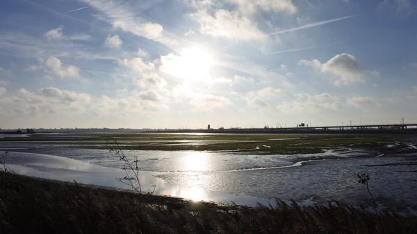 Ria de Aveiro. Foto de FF Mira/Flickr.