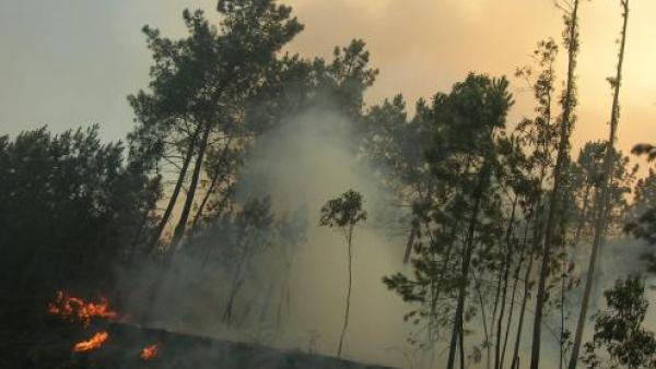 Incêndio Florestal, Foto de Israel Sas/Flickr