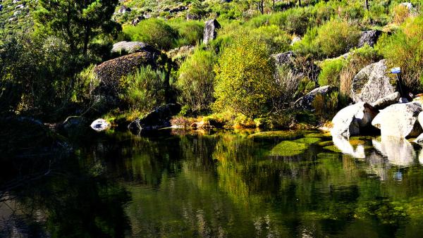 Rio Zêzere. Foto de Antonio da Silva Martins/Flickr.