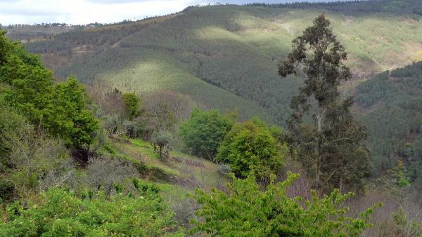 Serra da Lousã. Foto de Tania & Artur/Flickr.
