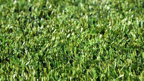 Campo desportivo sintético