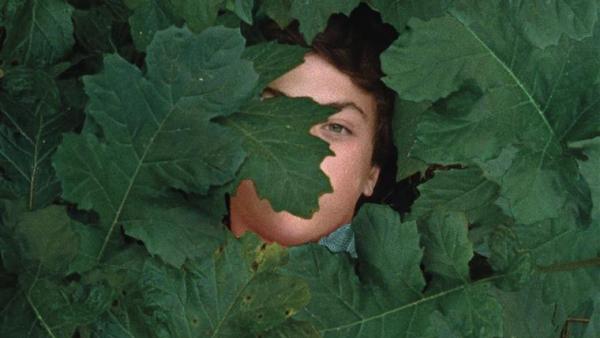 "A Metamorfose dos Pássaros" vence Prémio de Melhor Filme no Festival de Pesaro